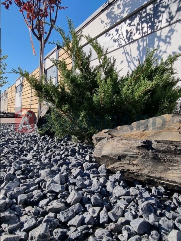 123 ��.�. ���� 5