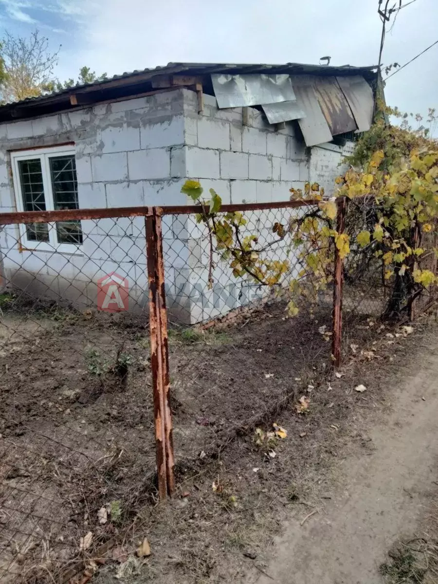 ����, 80 ��.�. ���� 5