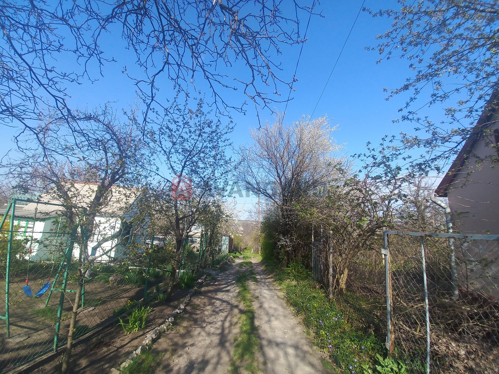 ����, 72 ��.�. ���� 14