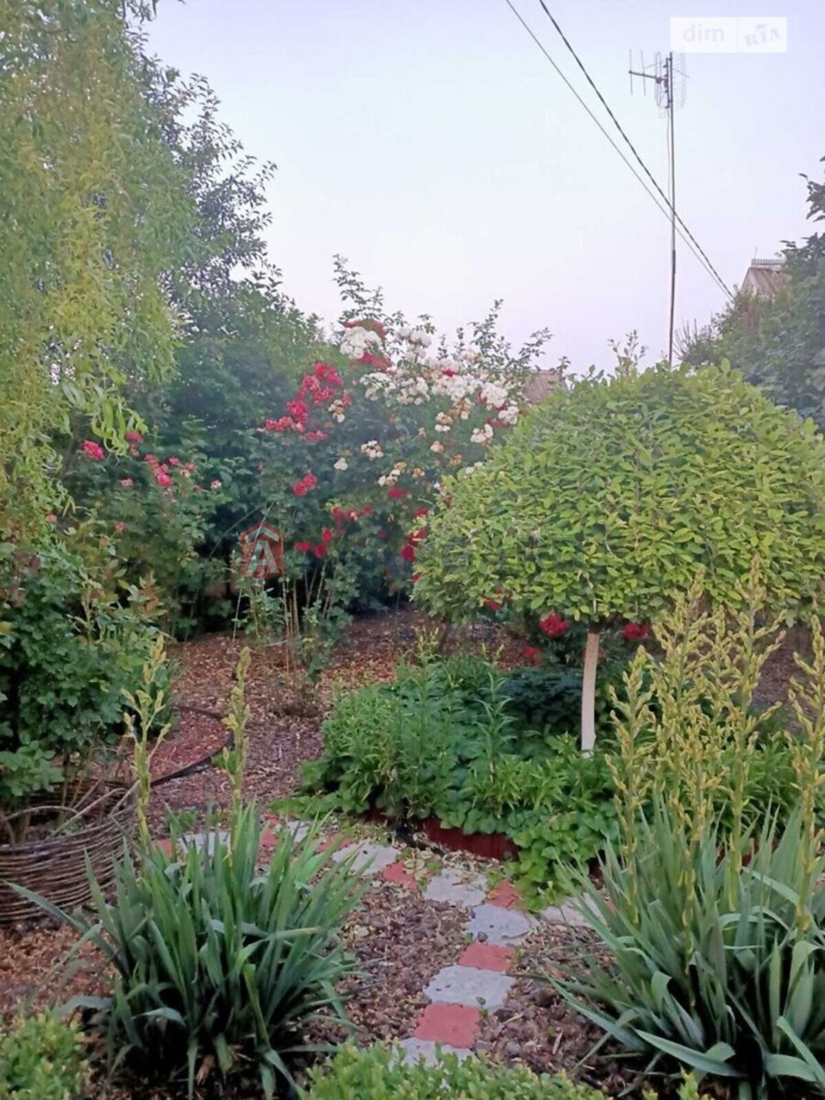 �������, 120 ��.�. ���� 4