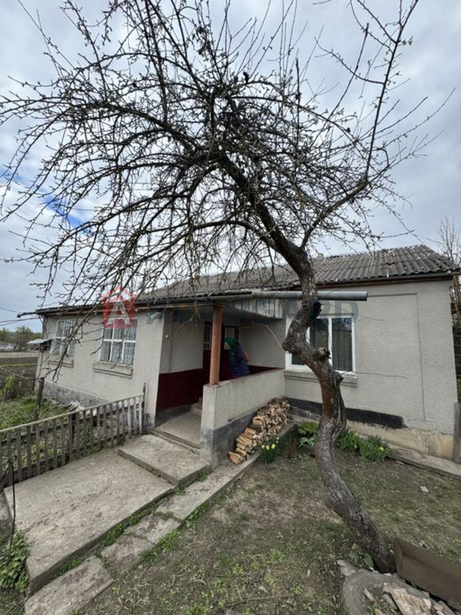 �������, 100 ��.�. ���� 3