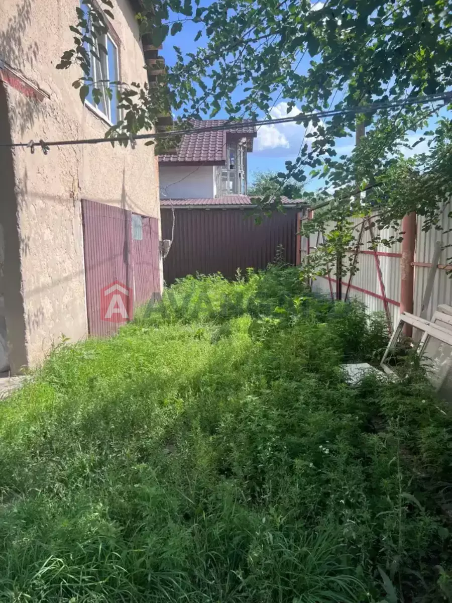 �������, 260 ��.�. ���� 4