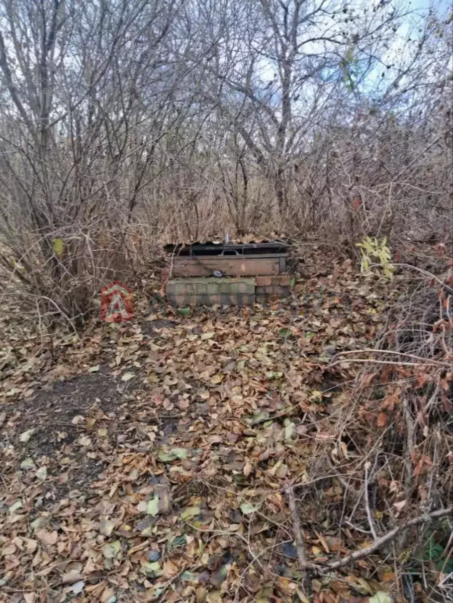 ����� ����, 50 ��.�. ���� 17