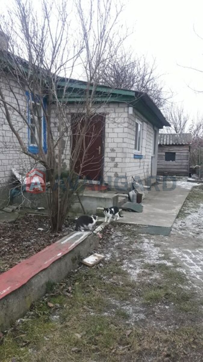 �������, 87 ��.�. ���� 18