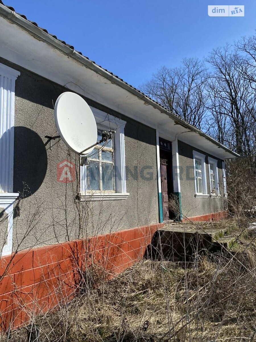 �������, 80 ��.�. ���� 23