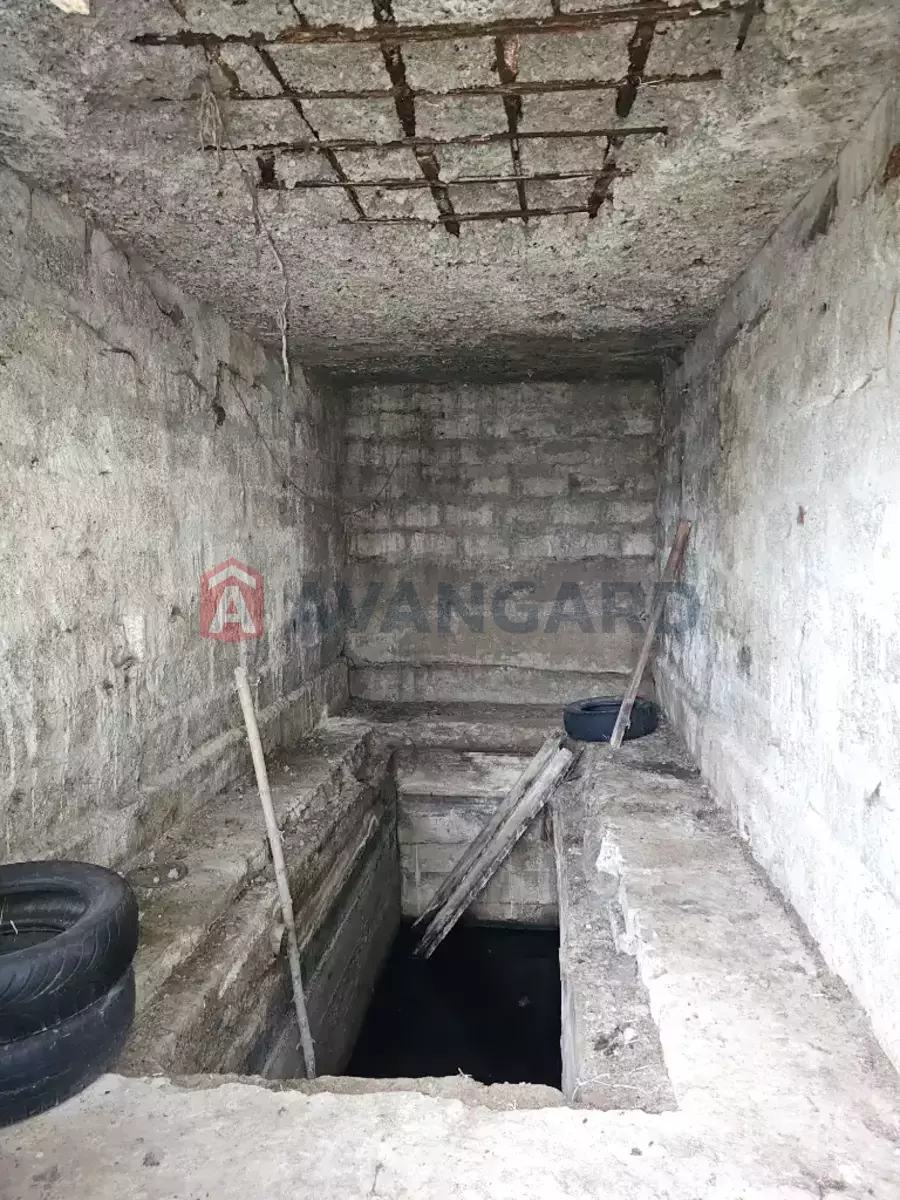 �������, 40 ��.�. ���� 5