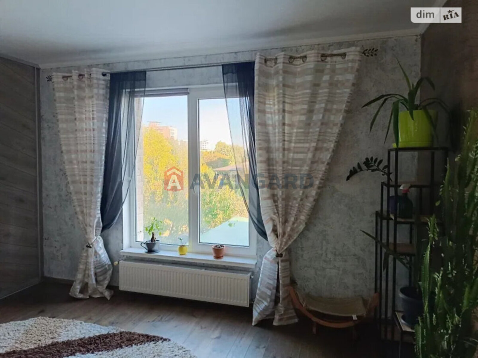 ��������, 77 ��.�. ���� 15