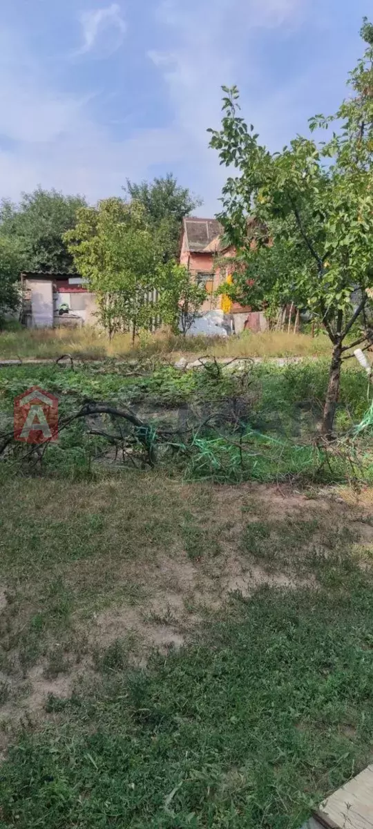 ����, 52 ��.�. ���� 2