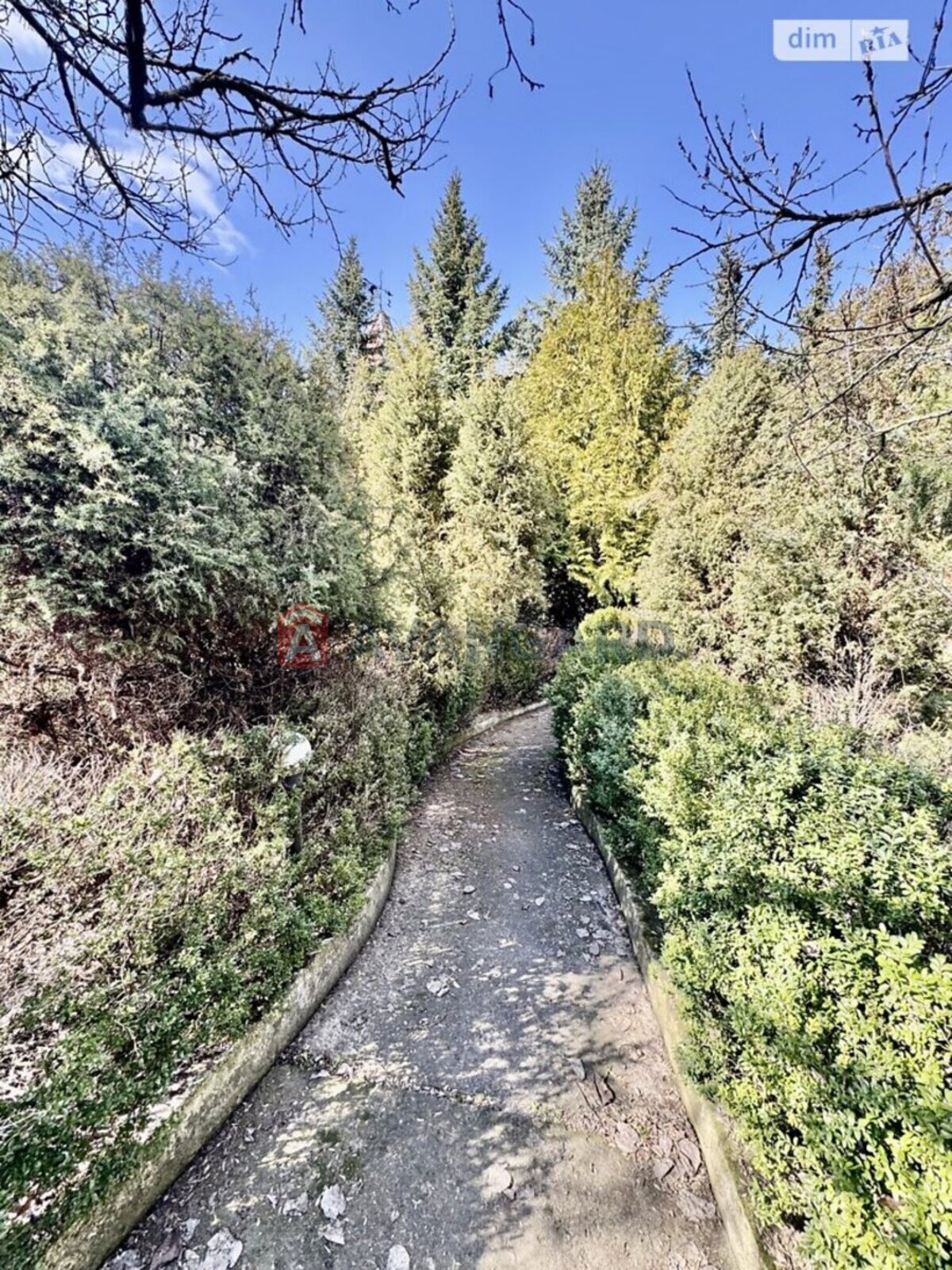 �������, 1000 ��.�. ���� 30