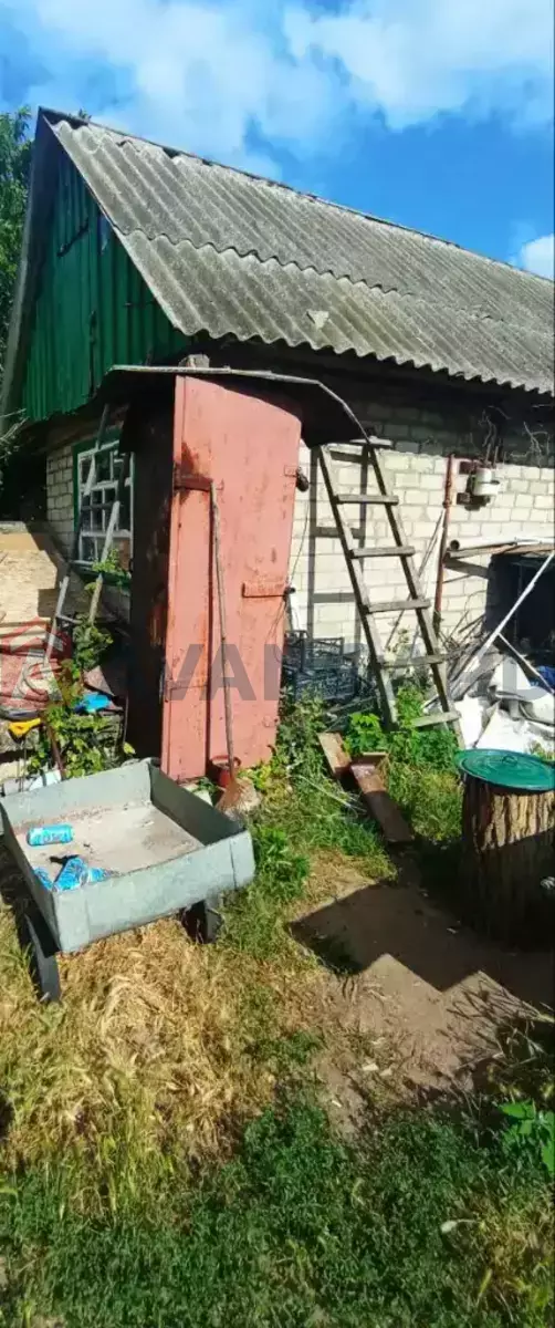 �������, 56 ��.�. ���� 7