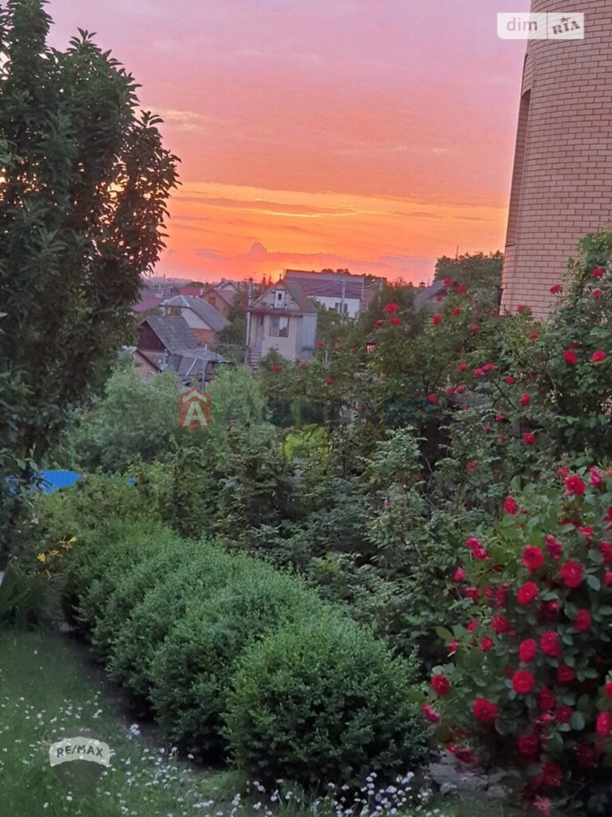 �������, 445 ��.�. ���� 4