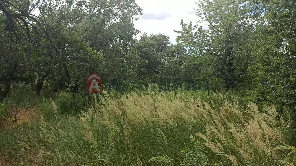 ���, 35 ��.�. ���� 4