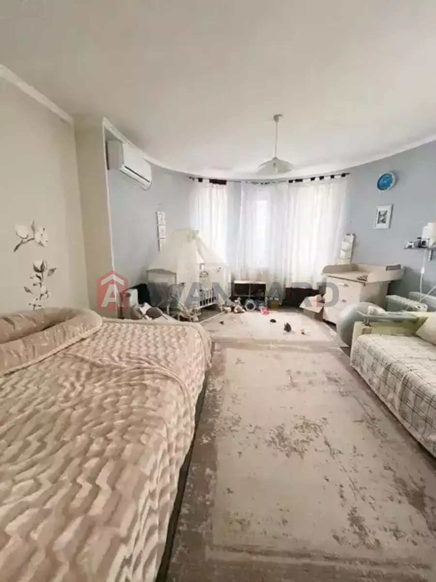 �������, 164 ��.�. ���� 14