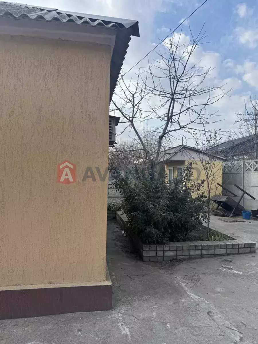 �������, 53 ��.�. ���� 12