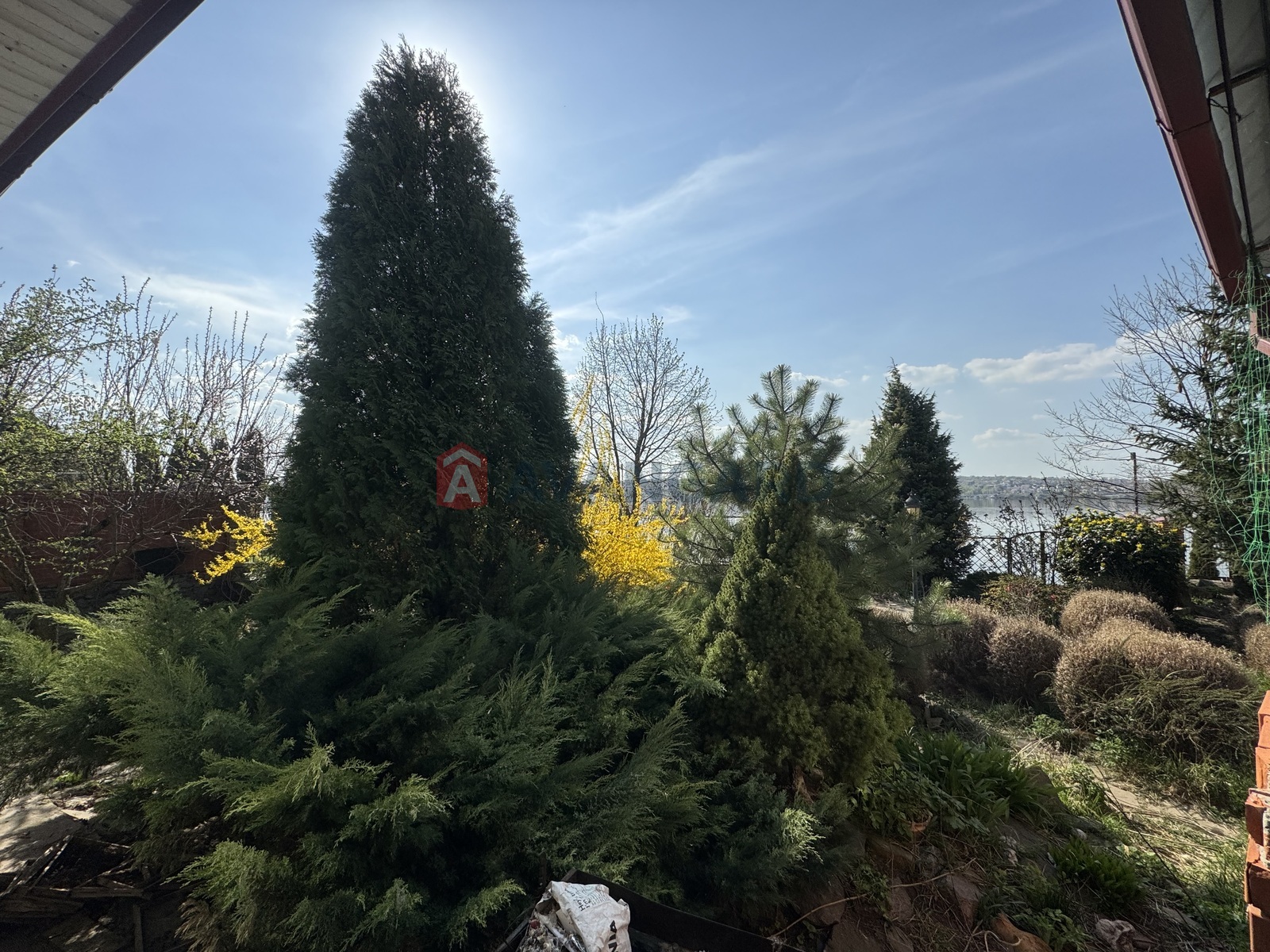 �������, 449 ��.�. ���� 4