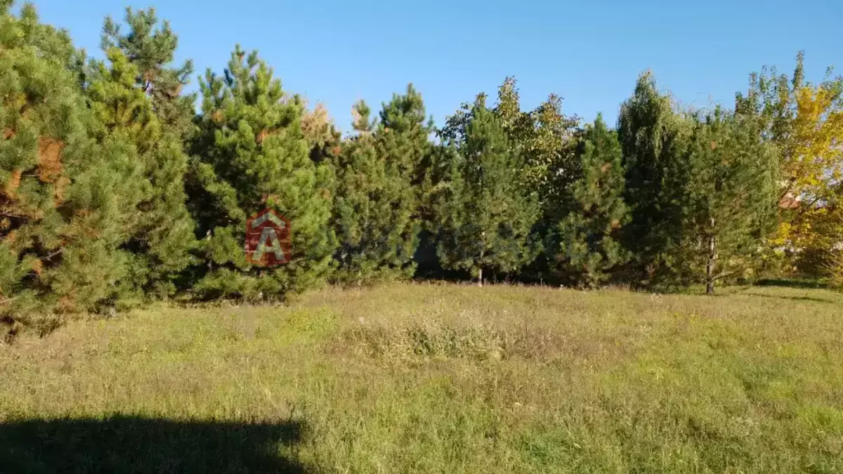 �������, 450 ��.�. ���� 4