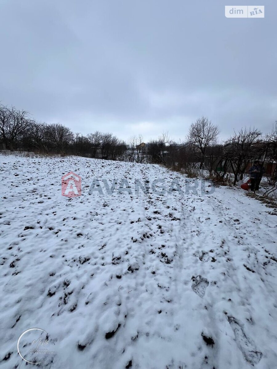 �������, 50 ��.�. ���� 5