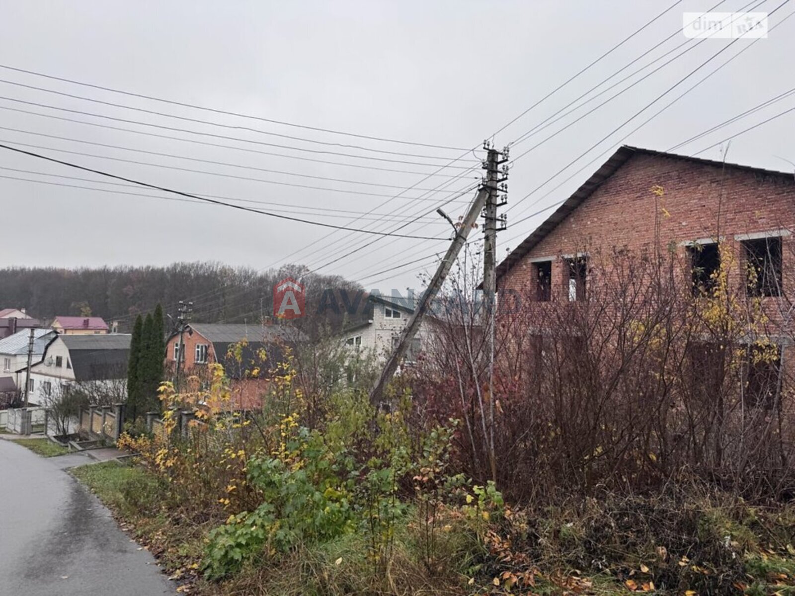 250 ��.�. ���� 3