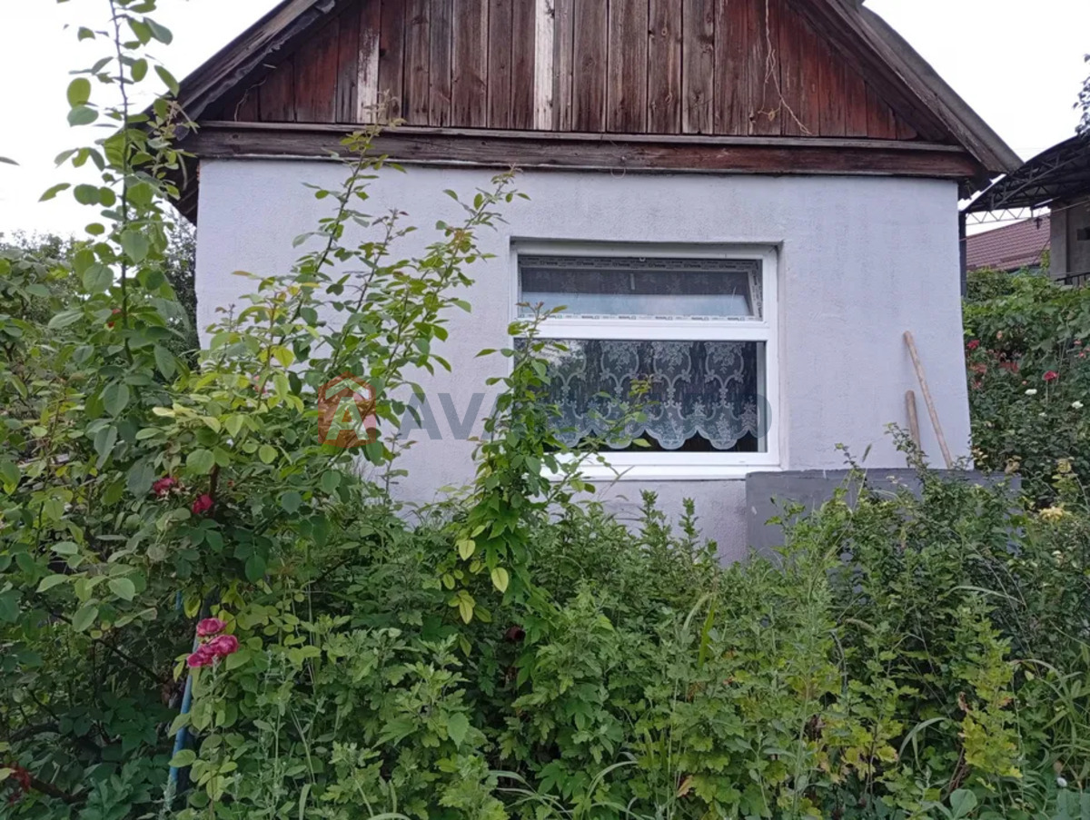 ������� �������, 38 ��.�. ���� 14