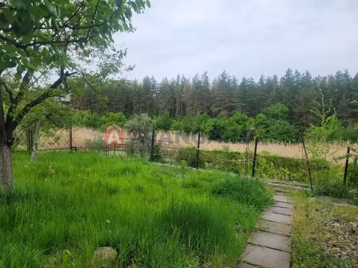 ����, 106 ��.�. ���� 6