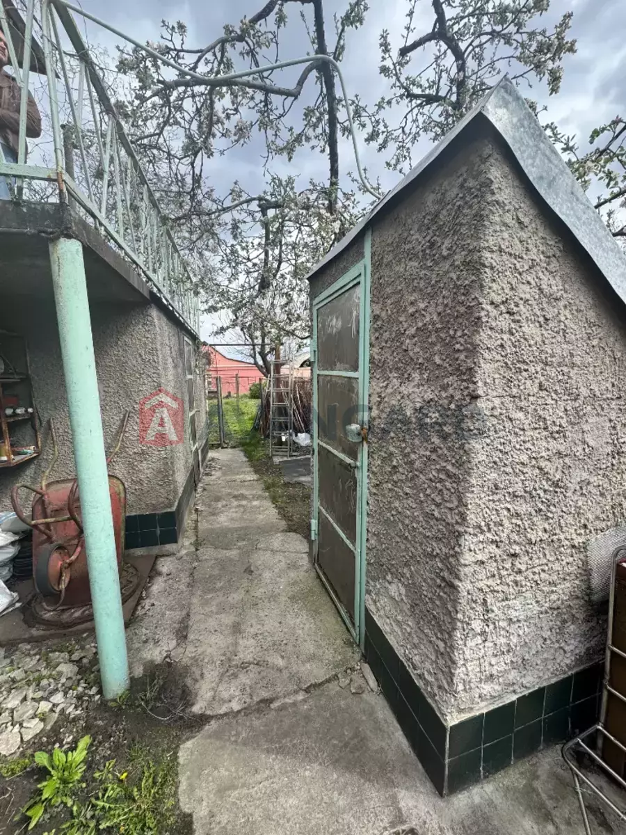 ������� �������, 87 ��.�. ���� 6