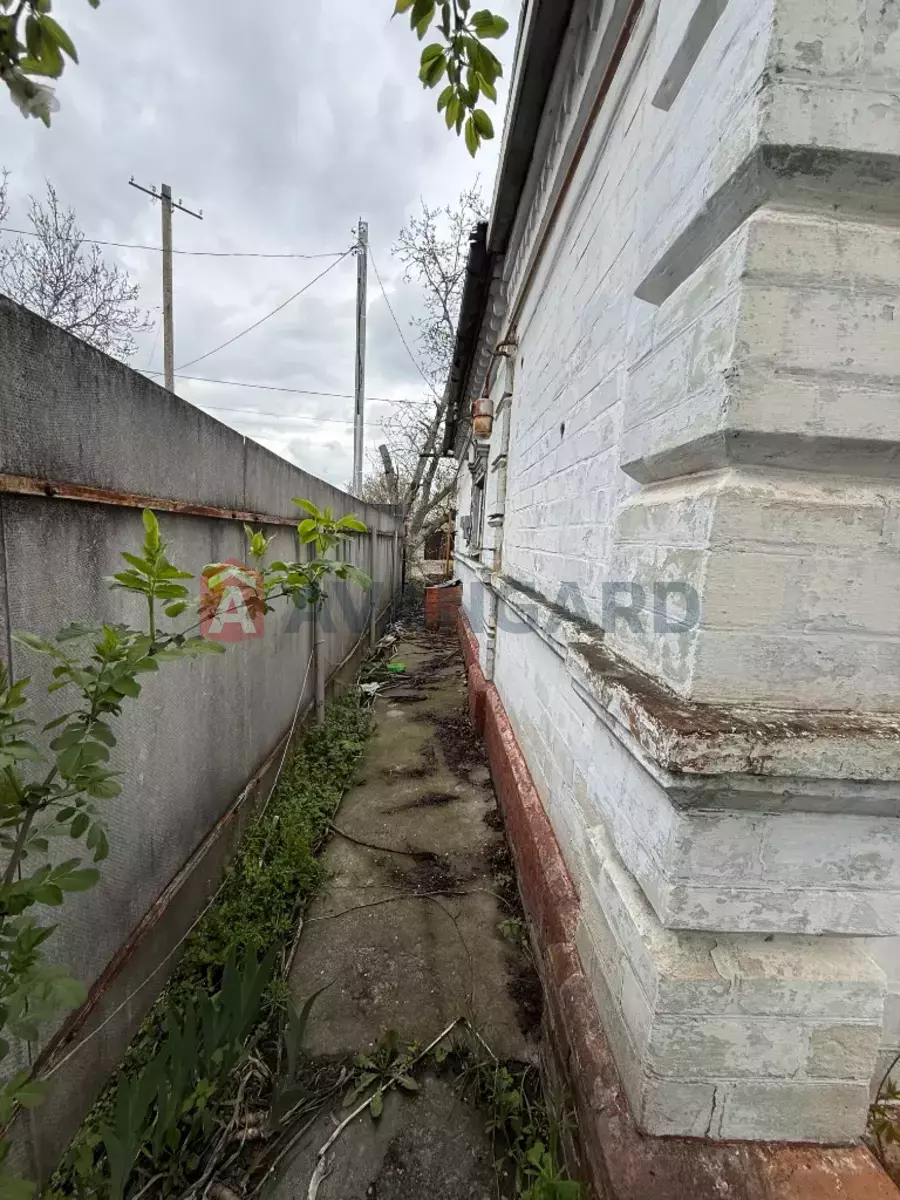 �������, 50 ��.�. ���� 30