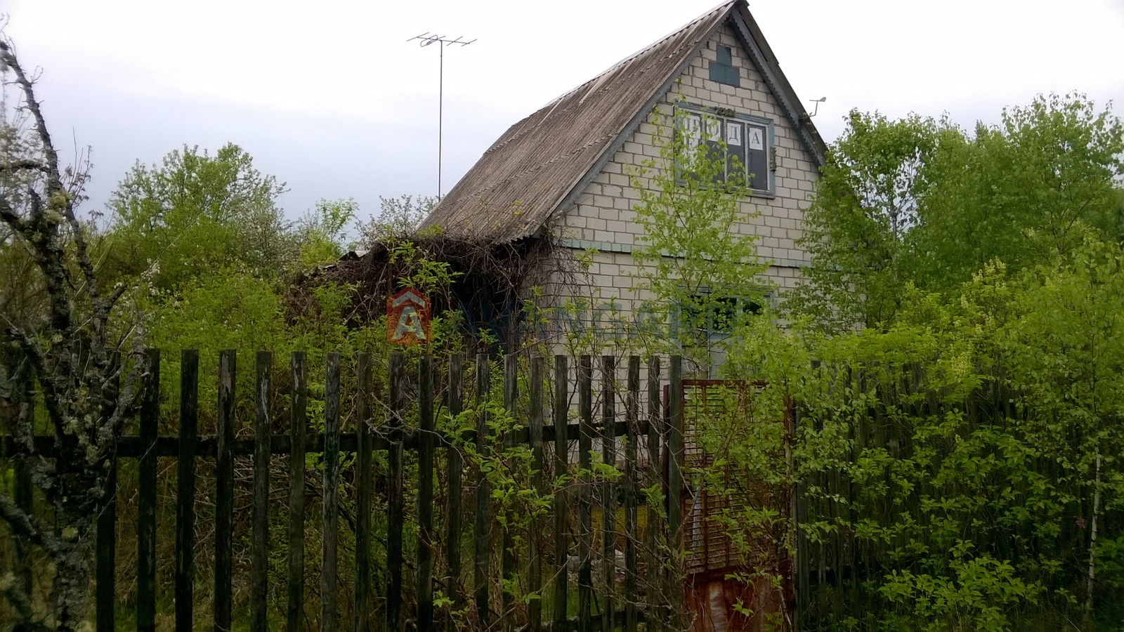 ����, 50 ��.�. ���� 25