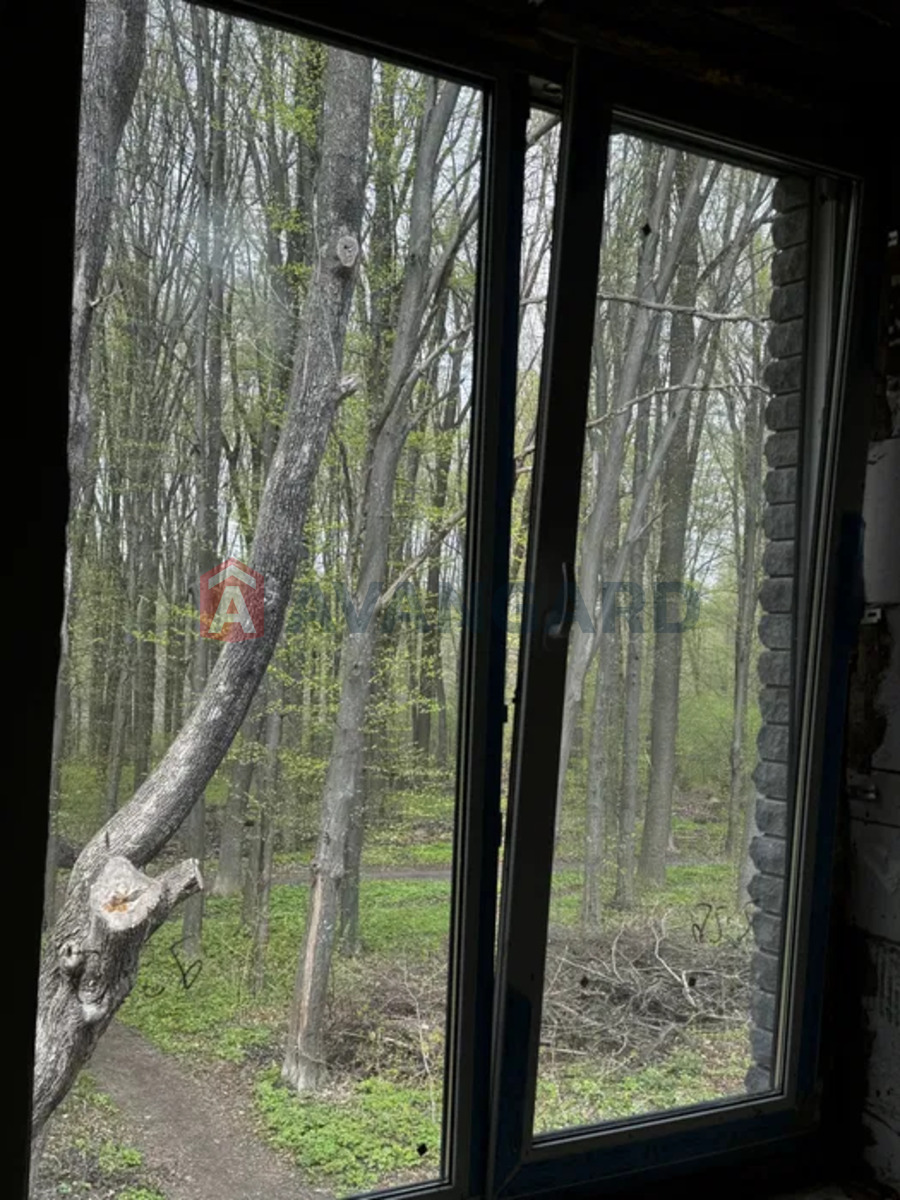 ��������, 130 ��.�. ���� 10