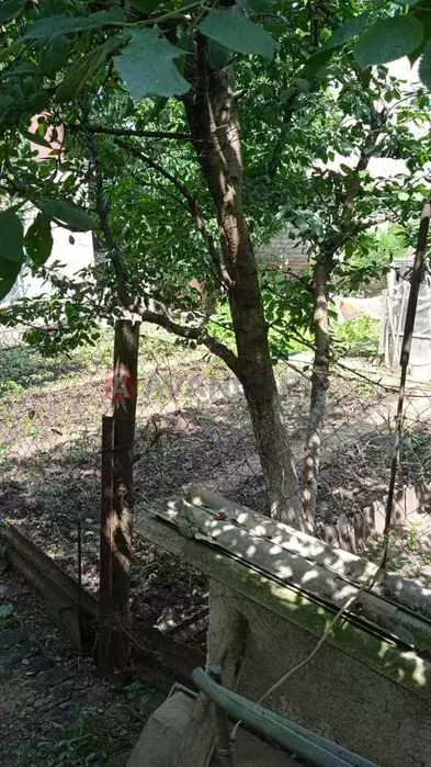 , 55 ..  26