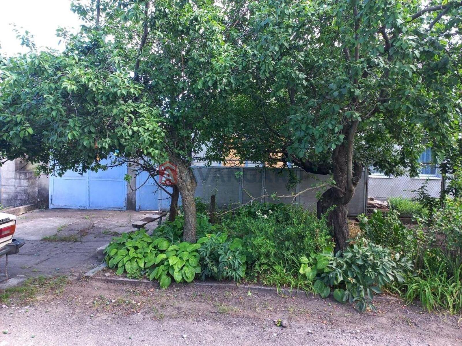 ����� ����, 51 ��.�. ���� 4