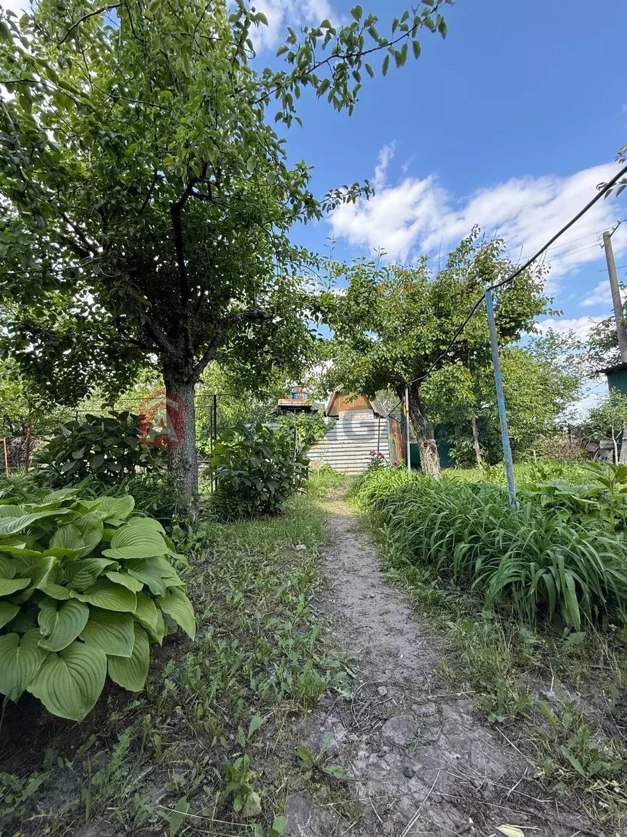 ����, 70 ��.�. ���� 2