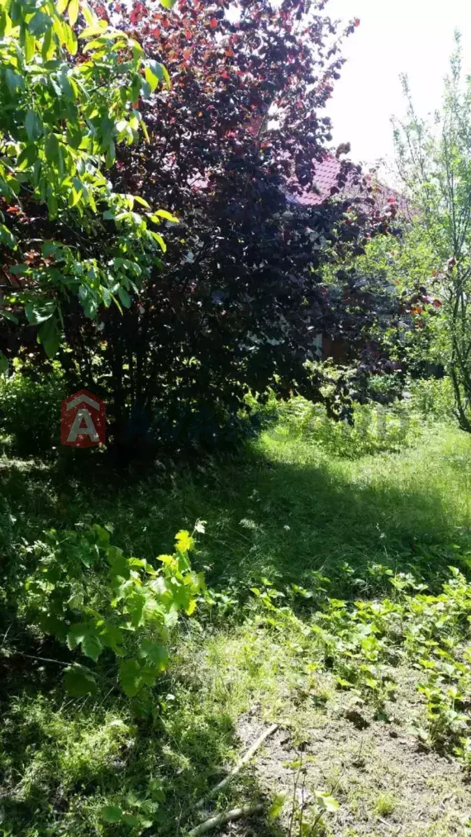 �������, 69 ��.�. ���� 6