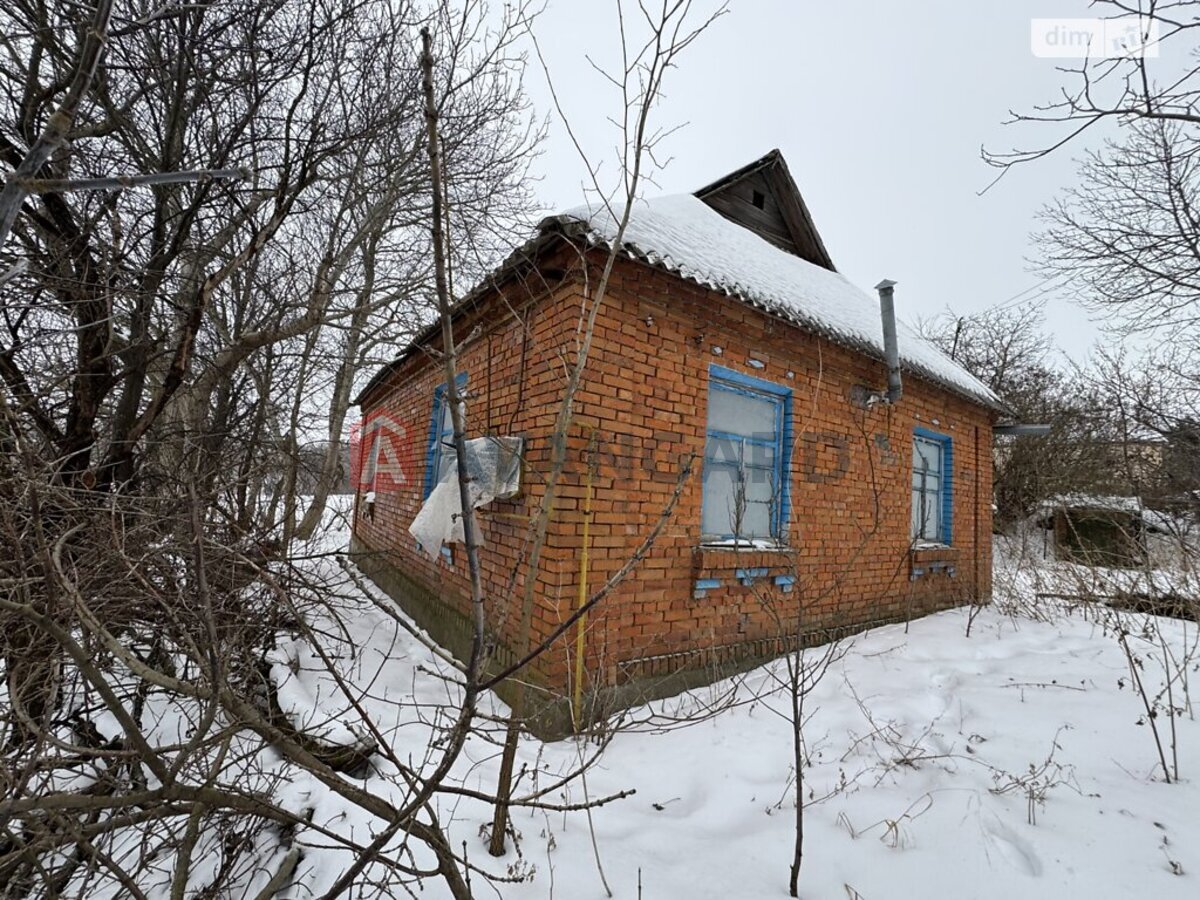 �������, 52 ��.�. ���� 5