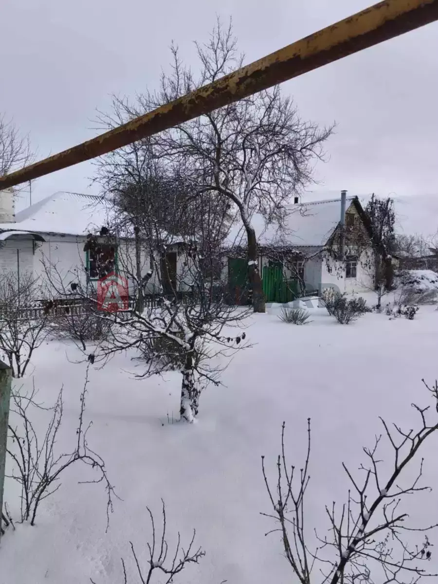 �������, 54 ��.�. ���� 24