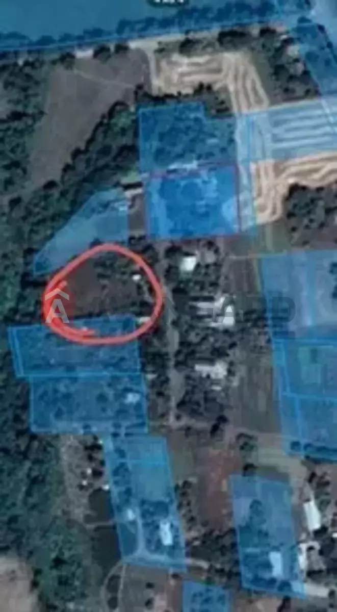 ���, 45 ��.�. ���� 5