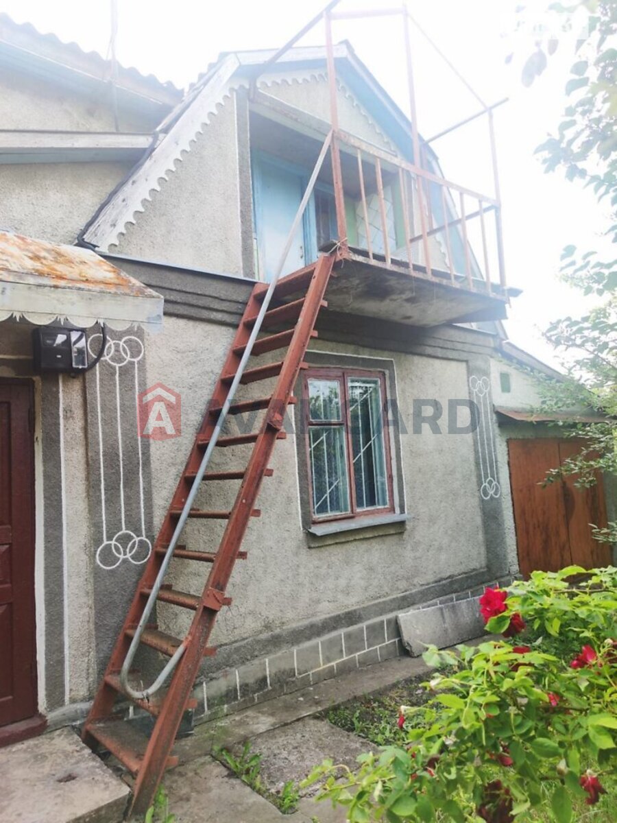 �������, 50 ��.�. ���� 3