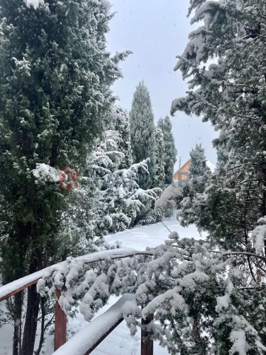 �������, 246 ��.�. ���� 4