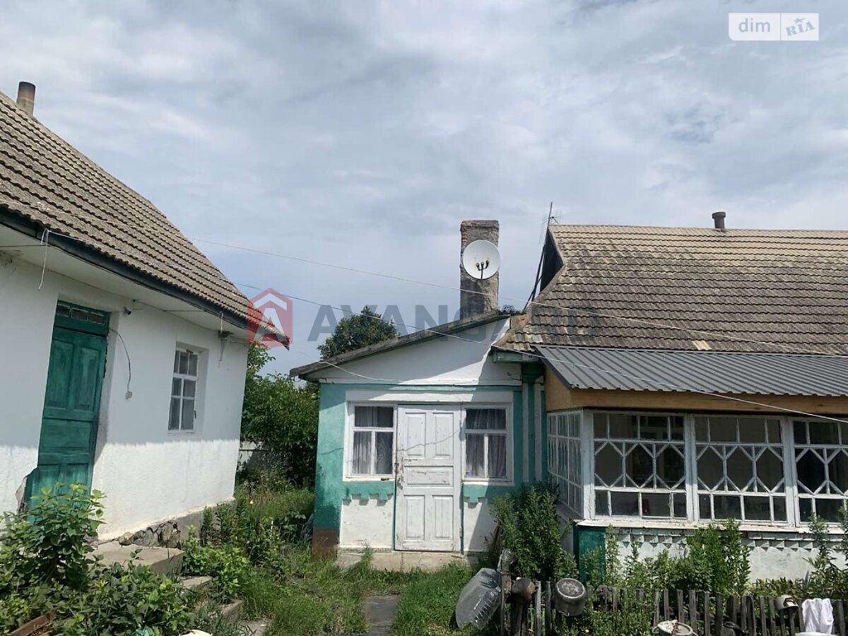 �������, 80 ��.�. ���� 3