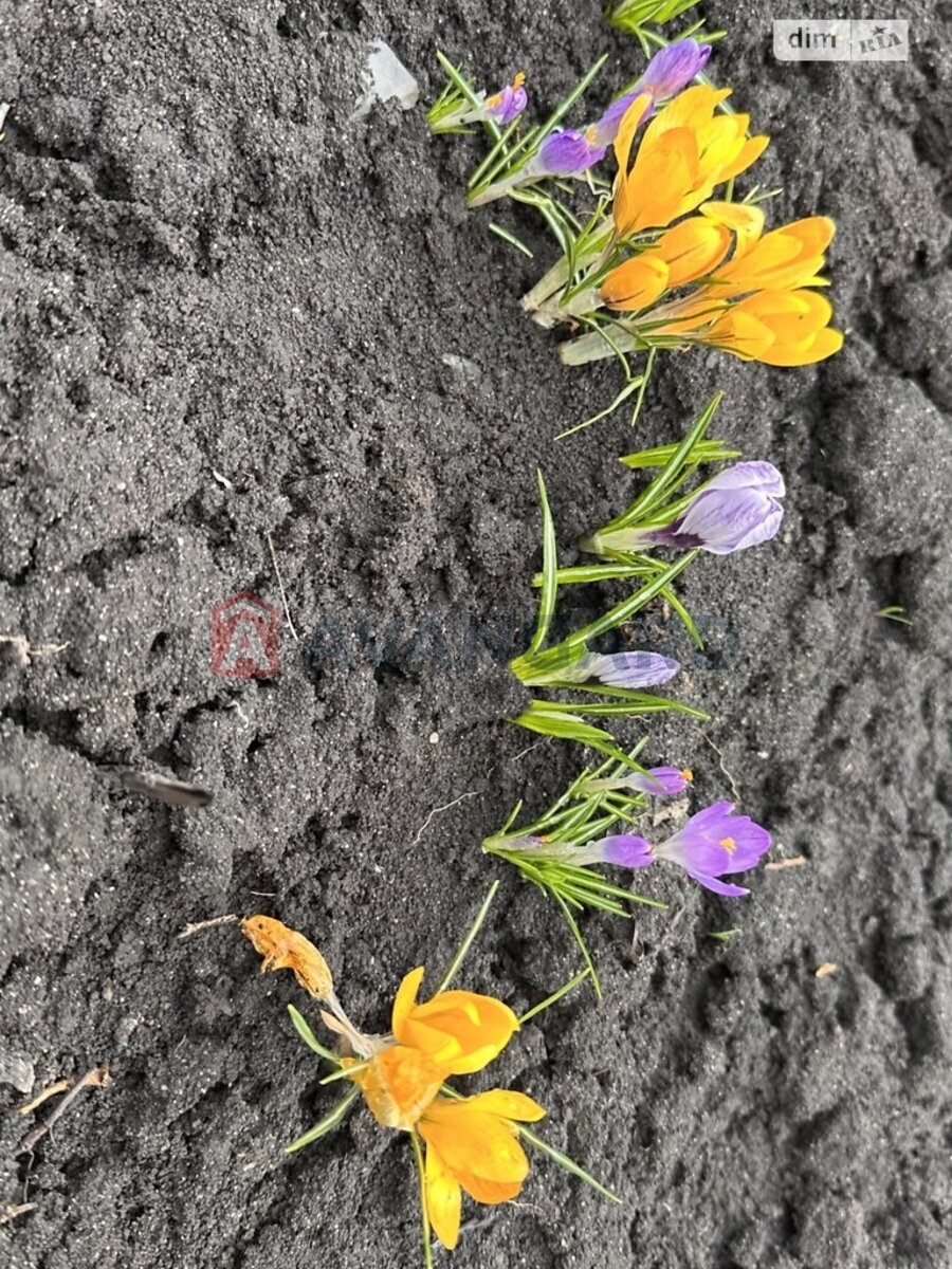 �������, 100 ��.�. ���� 4