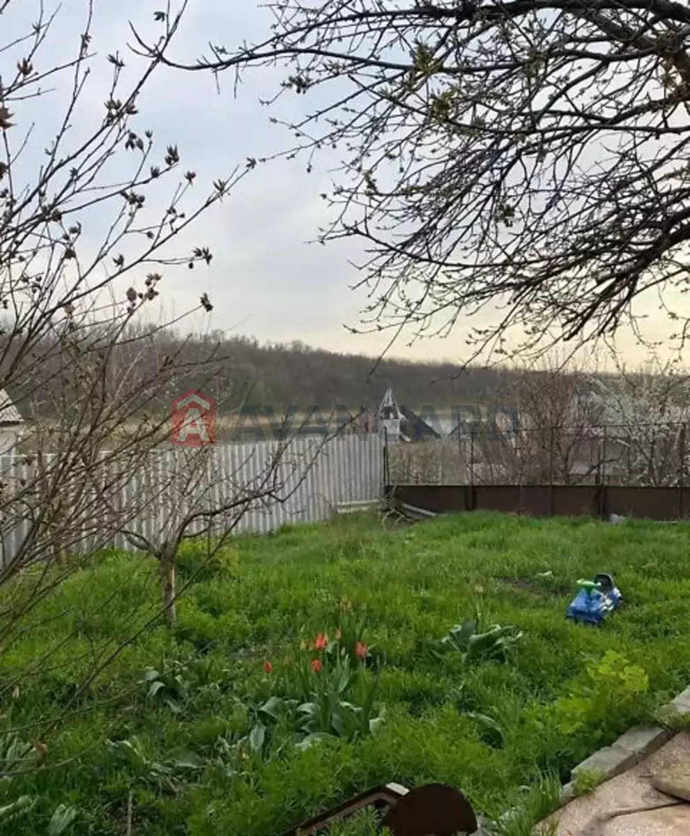 �������, 96 ��.�. ���� 5