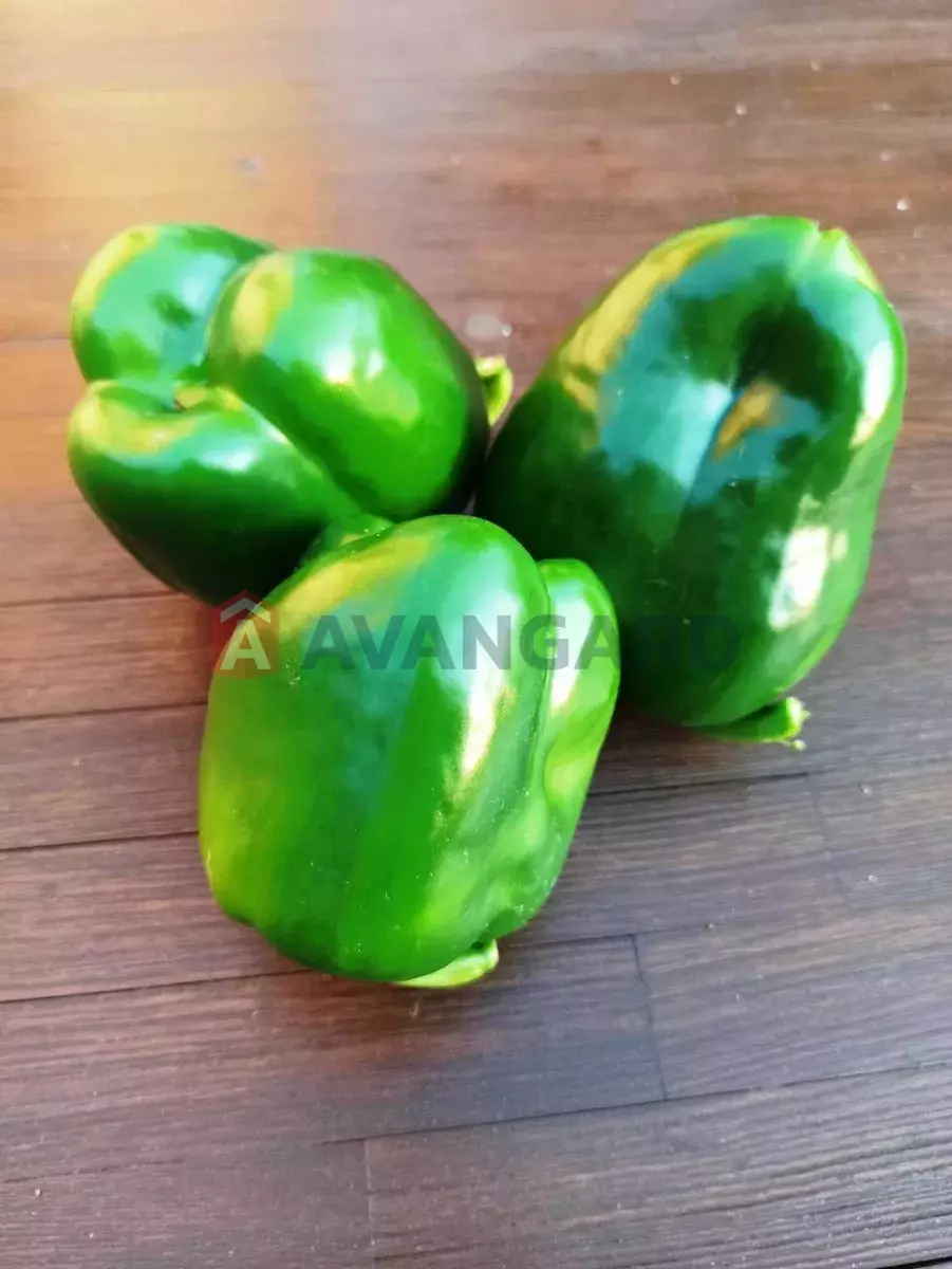 ����, 30 ��.�. ���� 18