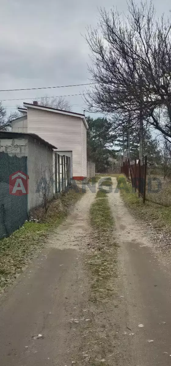 ����, 42 ��.�. ���� 3