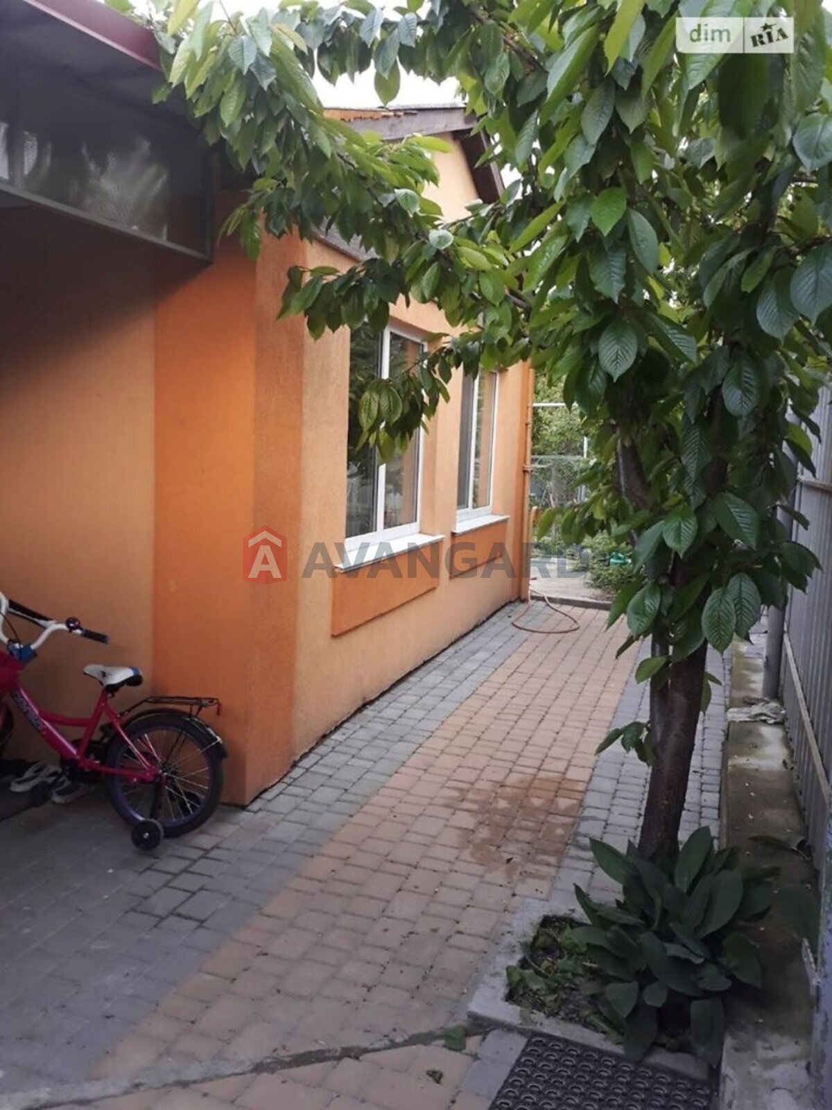 �������, 103 ��.�. ���� 17