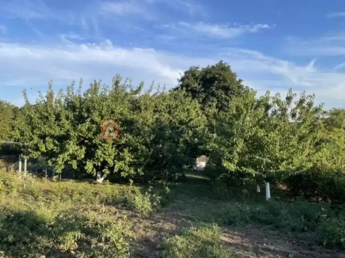 �������, 39 ��.�. ���� 19