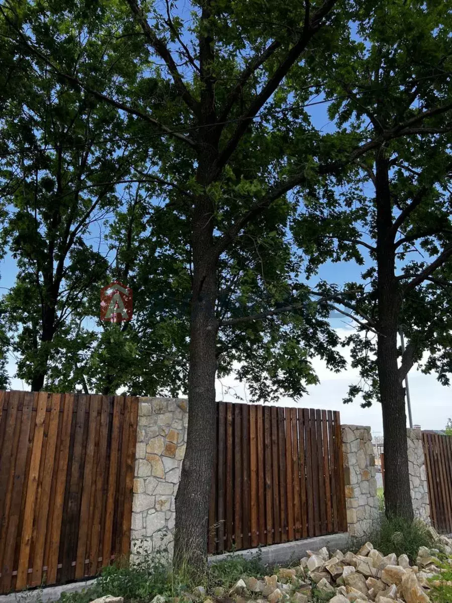 ���, 105 ��.�. ���� 8