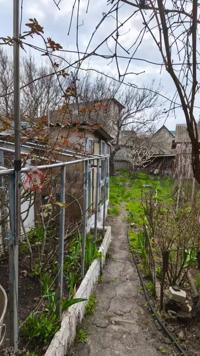 ������� �������, 75 ��.�. ���� 17