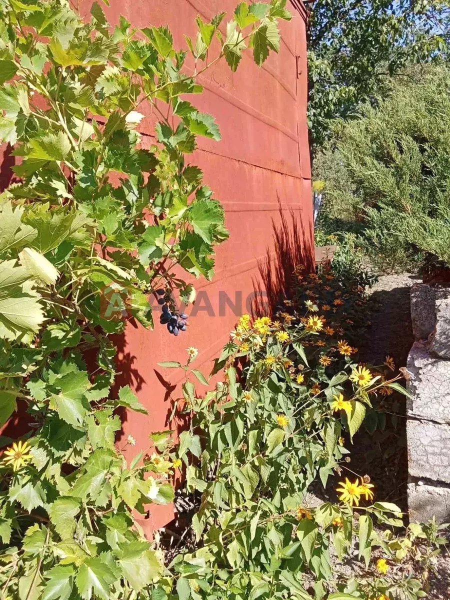 ����, 30 ��.�. ���� 3