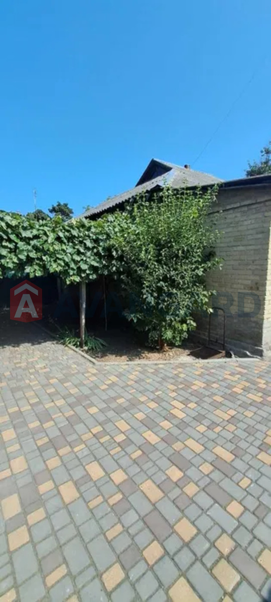 �������, 80 ��.�. ���� 3