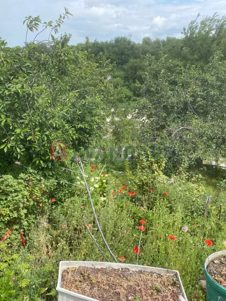 ����, 20 ��.�. ���� 3