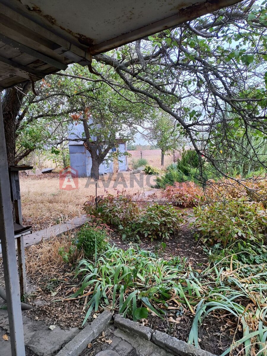 �������, 100 ��.�. ���� 6